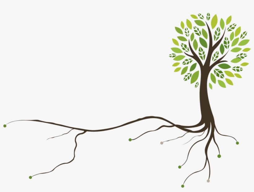 Tree - Body Nutrition Gardenia Vegan Protein Powder, Vanilla, transparent png download