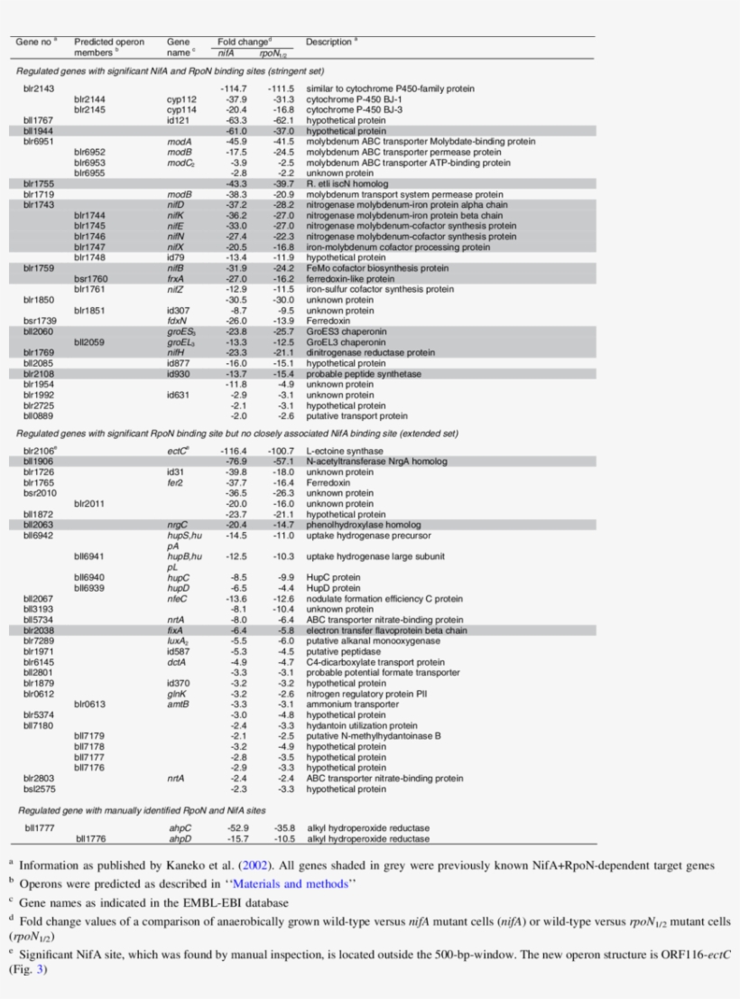 Newly Identified And Previously Described Nifa Rpon-dependent - Mobile Phone, transparent png download