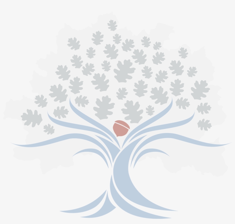 [hover To Meet Our Team Members - New Hampshire, transparent png download