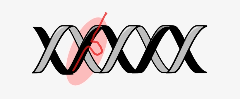What If We Could Edit Our Genes To Cure Diseases We're - Crispr Clipart, transparent png download
