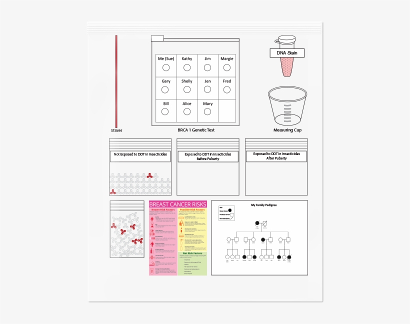 Breast Cancer Risk - Poster, transparent png download