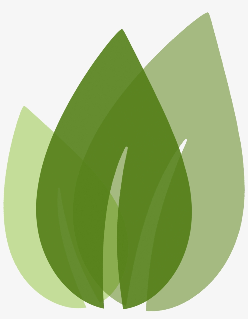 Enjoy Some Color At Your Table With These Leaf Green, transparent png download