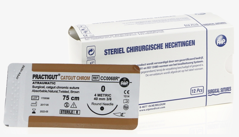 Google Chrome, transparent png download