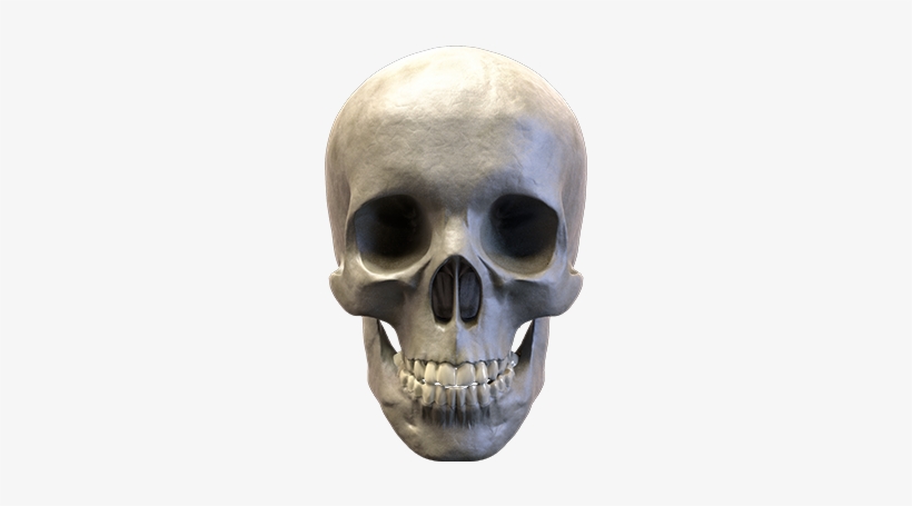 A Hamburger , Candy Corn, My Mom And They're All Available - Skull, transparent png download