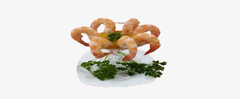 Shrimp Tempura ₱280 - Scampi, transparent png download