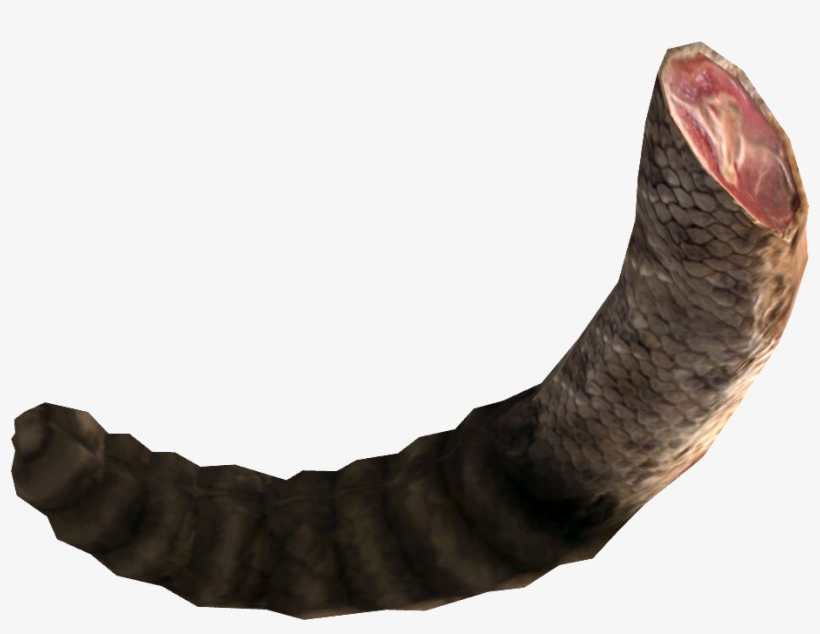The Vault Fallout Wiki - Animal Tails Png, transparent png download