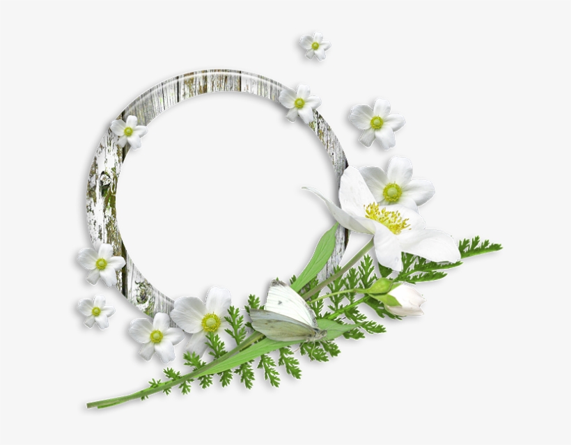 Máscara Moldura Redonda E Flores Para Fazer Montag - Flores Molduras Com Flores Redondas, transparent png download