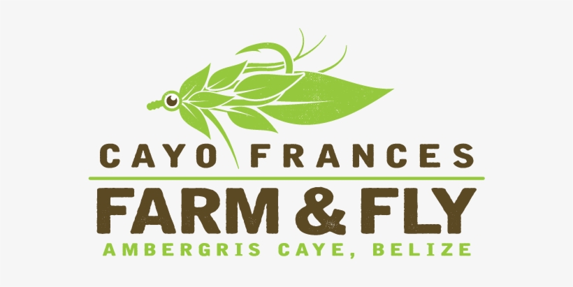 Fly Fishing, Fish Stories, Bbq's, Breakfast, Lounging, - Graphic Design, transparent png download