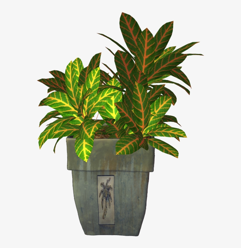 Clipart Resolution 600*796 - Maceta Con Planta Png, transparent png download
