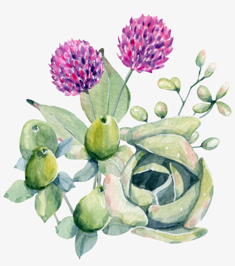 Pintado A Mano De Cuajada De Púrpura Png Planta Png - Flower, transparent png download