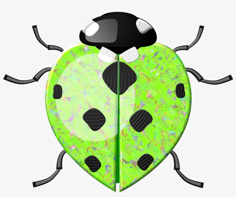 Borboletas & Joaninhas E - Ladybird, transparent png download