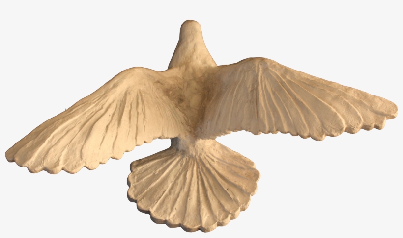 Paloma De La Paz - Red-tailed Hawk, transparent png download