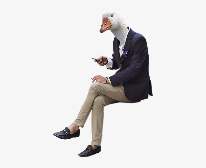 Crazy Animals - Persona Sentada Png, transparent png download