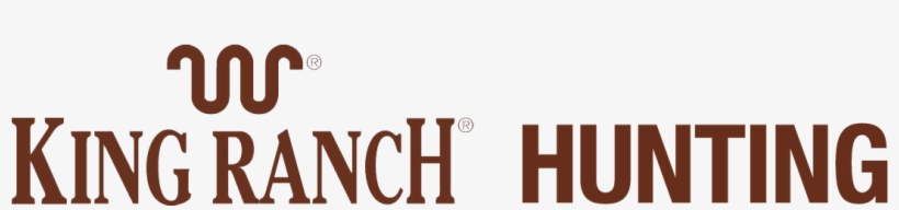 What Can We Help You Find Today - King Ranch Saddle Shop, transparent png download