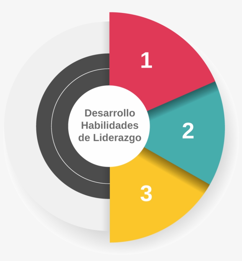 Desarrollo De Habilidades De Liderazgo - Leadership, transparent png download