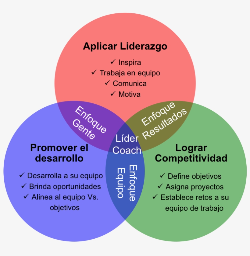 Al Término De Este Taller Los Participantes Serán Capaces - Desarrollo De Competencias De Liderazgo, transparent png download
