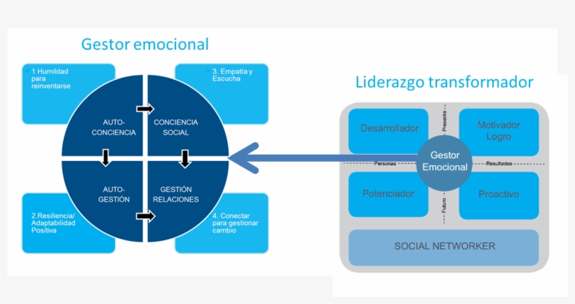 La Dimensión Emocional Del Cambio - Knowles Adult Learning Theory, transparent png download