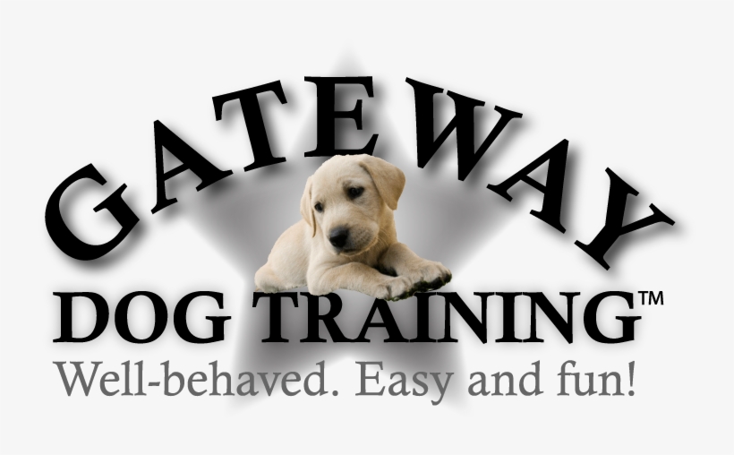 Click To Enlarge Image Gateway Dog Training Gateway - Imagens De Caes Fofinhos, transparent png download