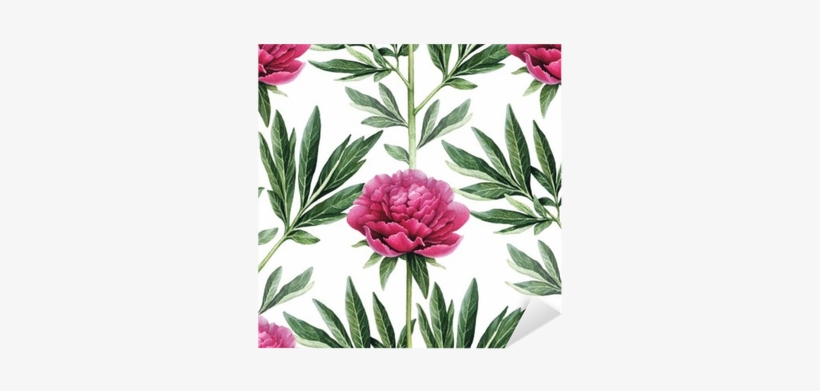 Watercolor Peony Flowers Illustration - Watercolor Painting, transparent png download