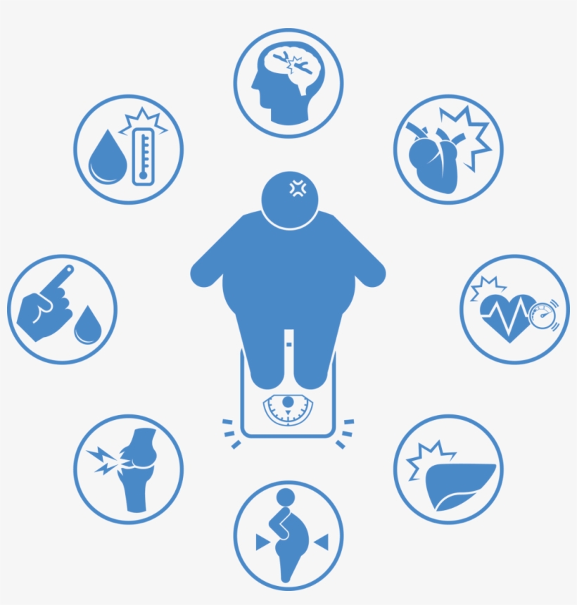 Major Health Risks - Causes Of Obesity Png, transparent png download
