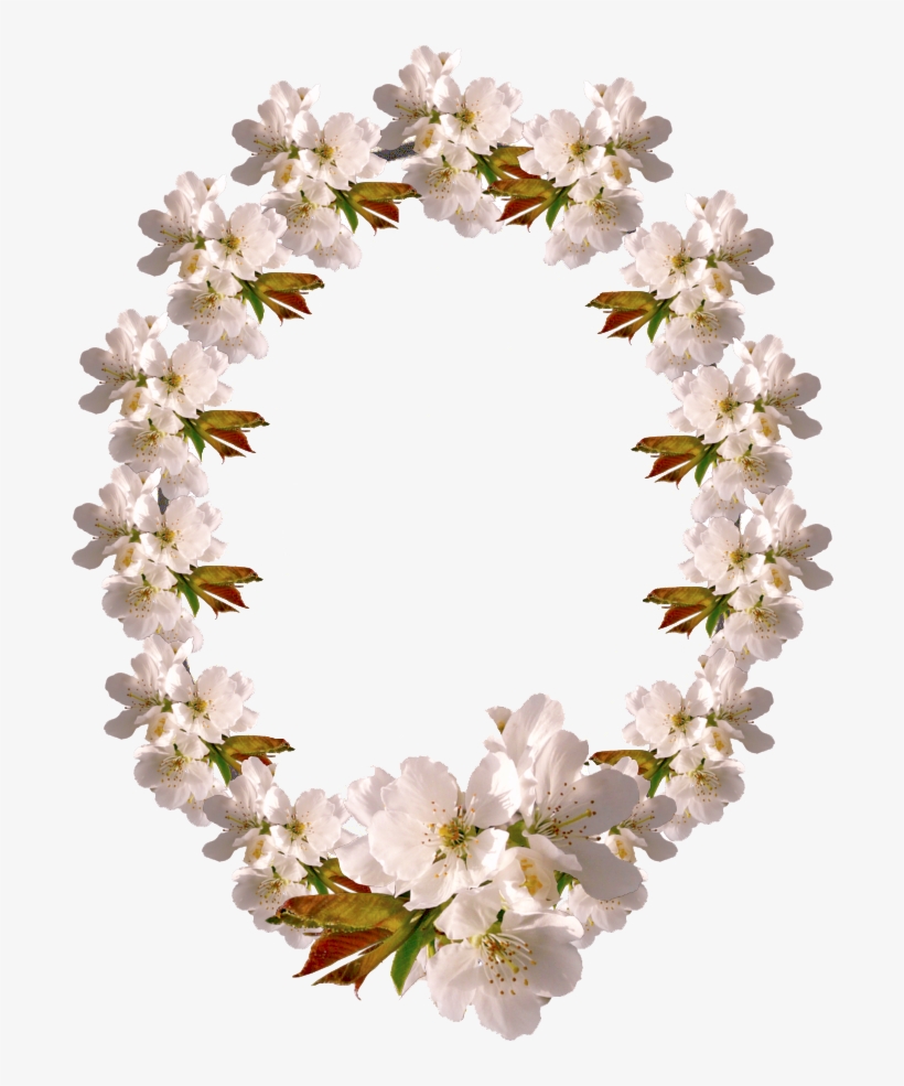 Molduras Ovais, transparent png download