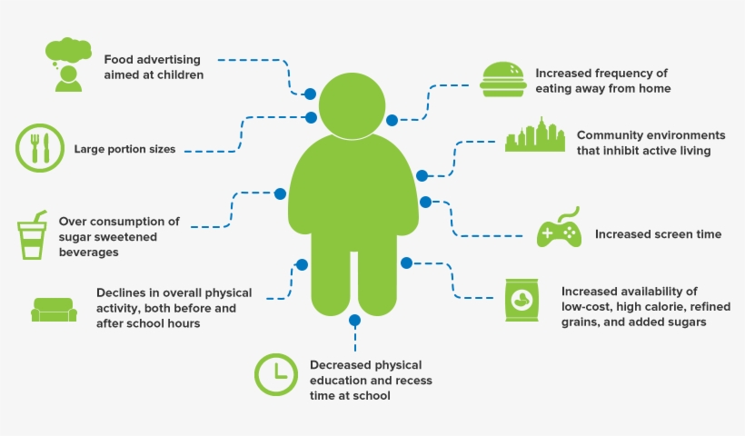 Children And Obesity - Causes Obesity, transparent png download