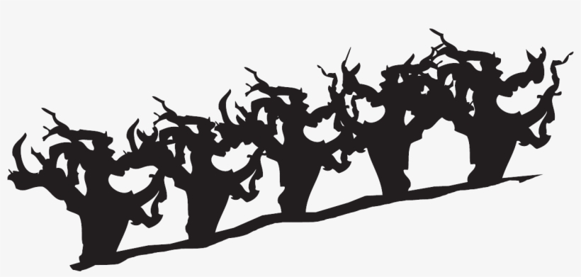 Old Vine, transparent png download