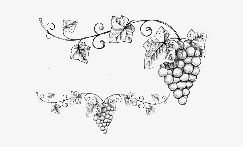 History Image - Line Art, transparent png download