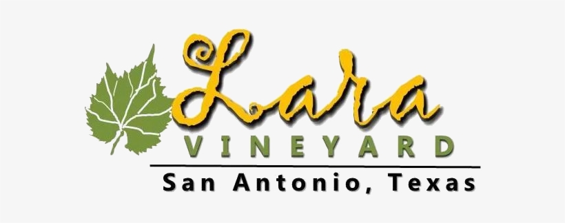 Lara Vineyard, transparent png download
