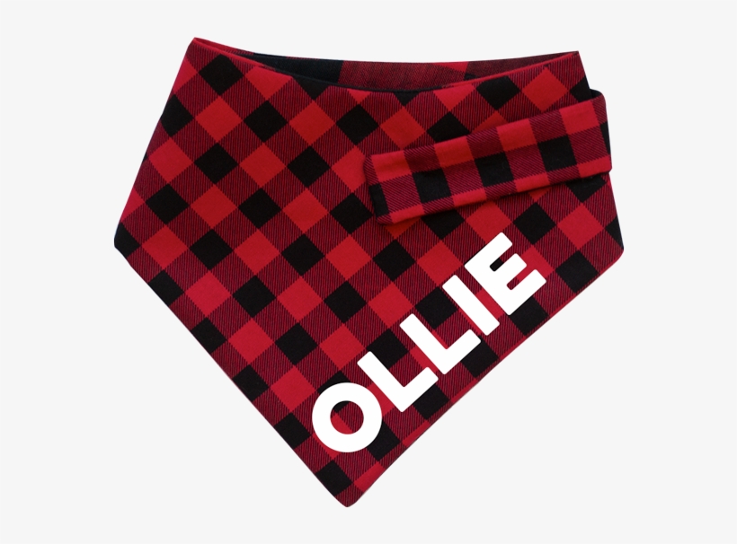 Kerchief PNG Image Transparent PNG Free Download on SeekPNG