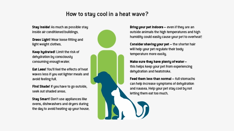 How To Keep You And Your Pet Cool During A Heat Wave - Natural Disaster, transparent png download