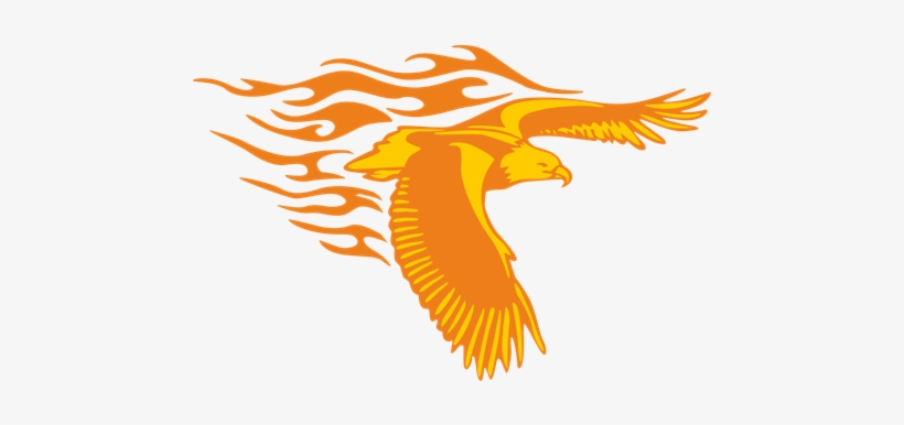 Vinilo Decorativo Águila Con Alas Desplegadas En Llamas - Eagles Flying Gifs Png, transparent png download