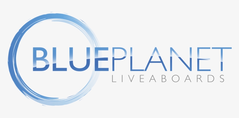 Welcome To Blue Planet Liveaboards - Blue Planet Liveaboards, transparent png download