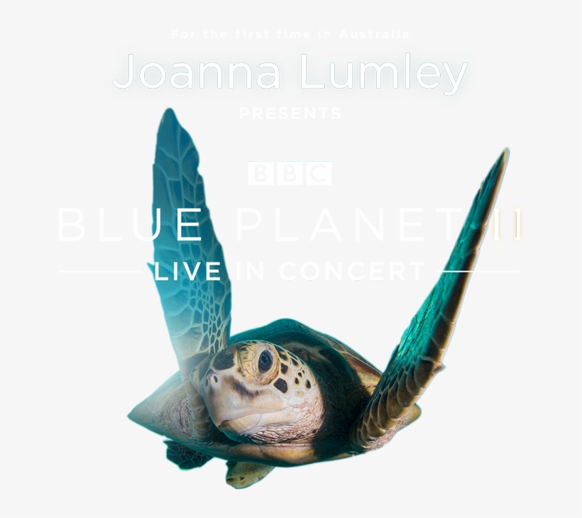 Bbc Blue Planet Ii Live - Bbc, transparent png download