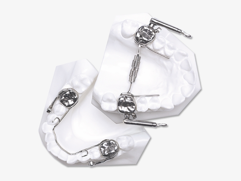 Miniscope & Miniscope W/ Apple Core - Necklace, transparent png download