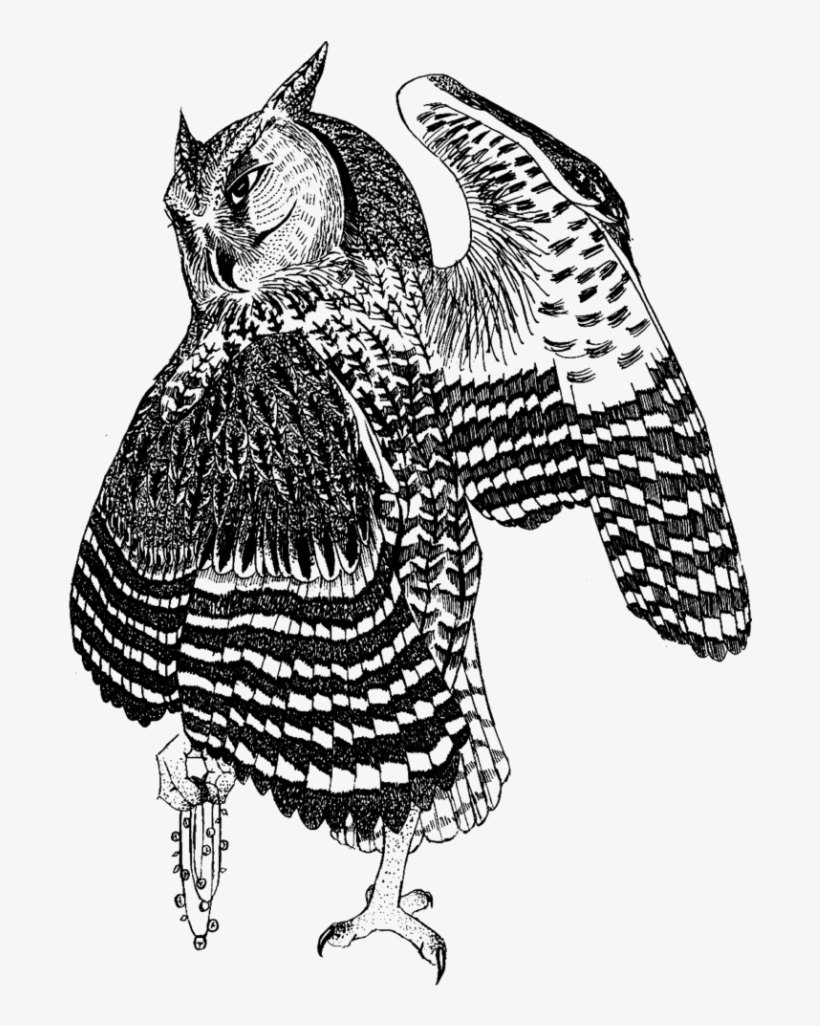 Buho En Tramas - Great Horned Owl, transparent png download