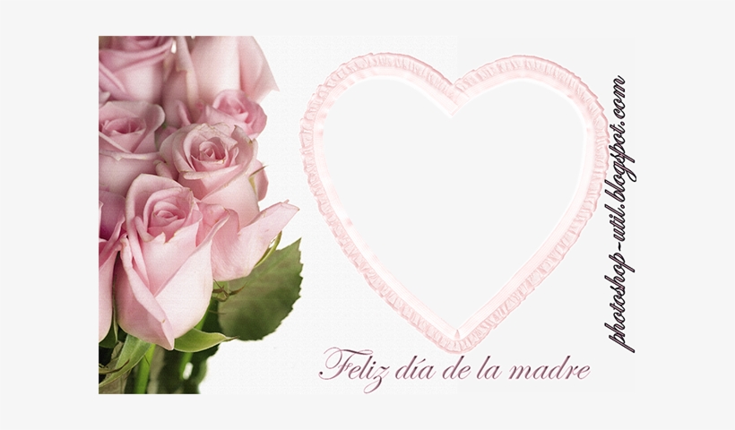 Nemo Abbigliamento, transparent png download