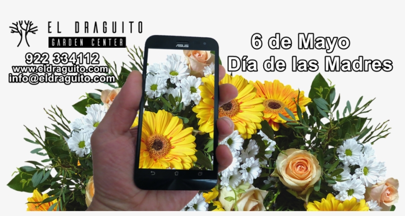 Flores Día De La Madre - Flower Bouquet, transparent png download