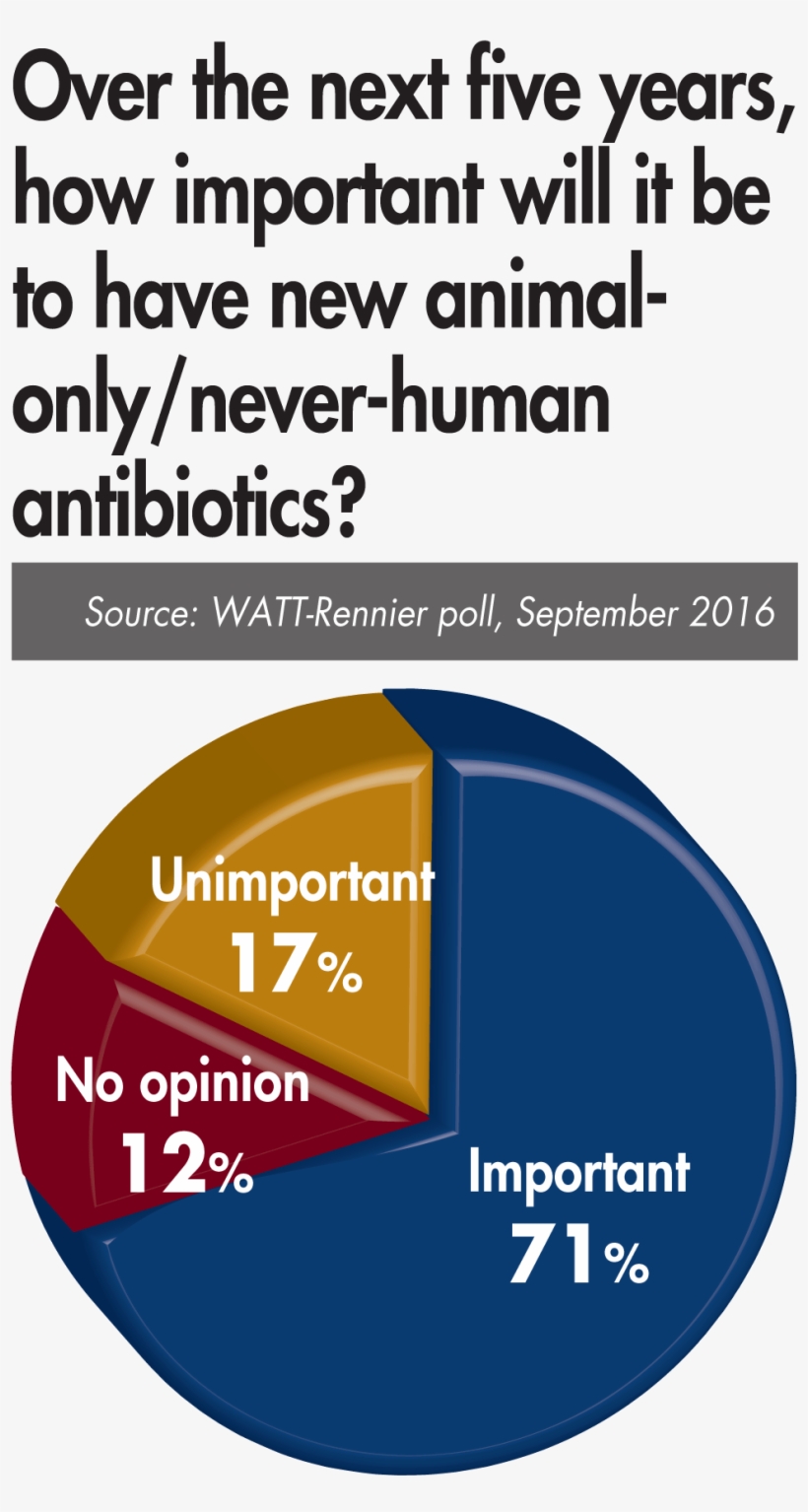 Never Human Antibiotics Importance - Roman De La Momie, transparent png download