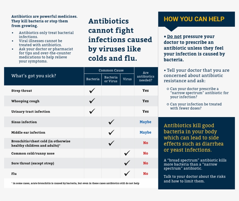 Antibiotics What You Should Know Brochure Brochure - Brochure, transparent png download