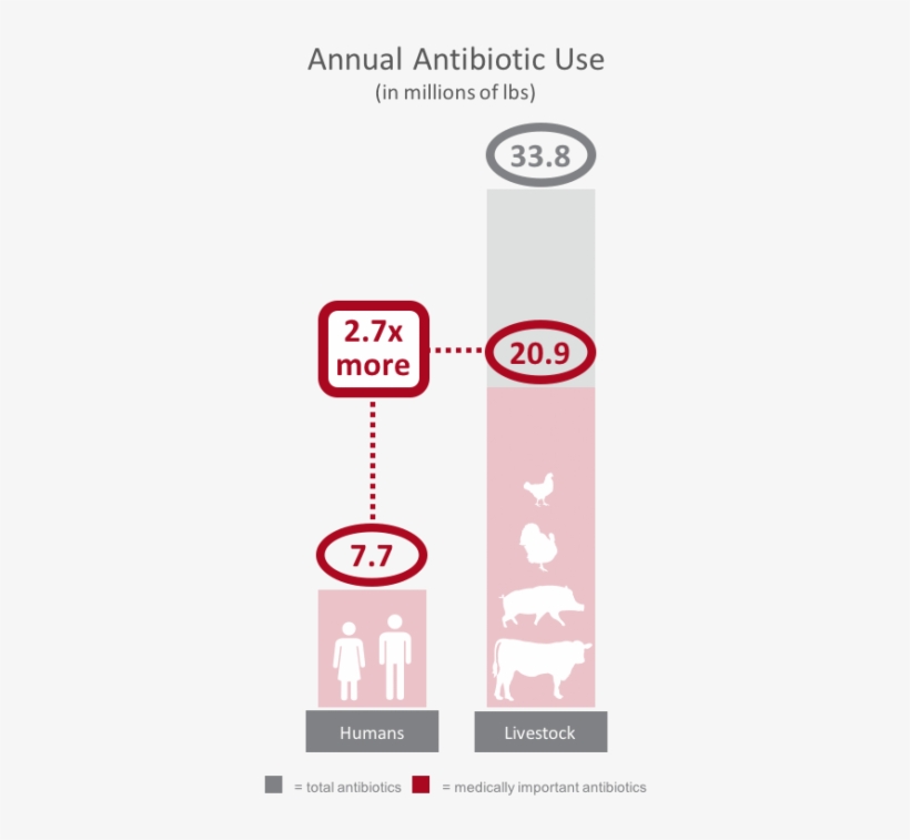 Comparison Of Annual Antibiotic Use In The United States - Human, transparent png download