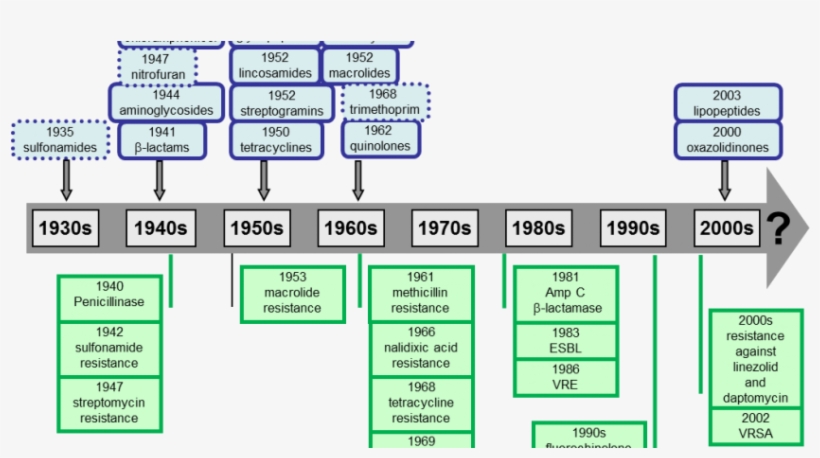Introduction Of Antibiotics And Emmerge Of Resistance - Medicine, transparent png download