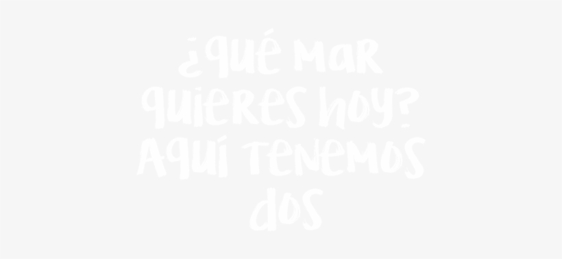 Snorkell - Je Suis Une Merde Et Je Compte Le Rester - Trade Paperback, transparent png download
