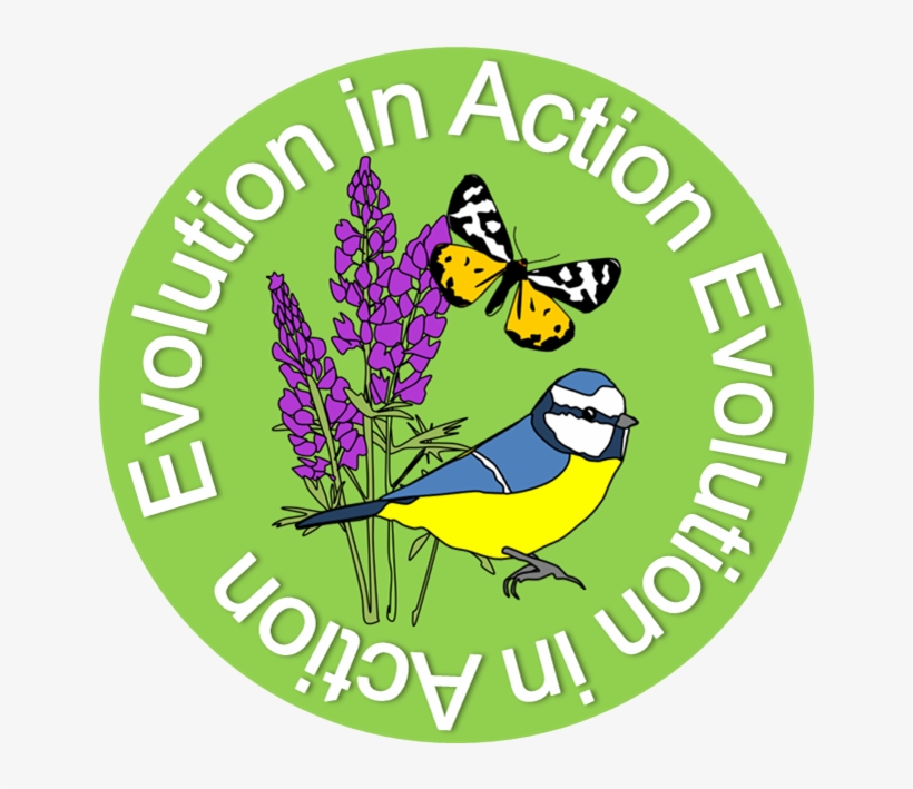 Logo Of "evolution In Action", transparent png download