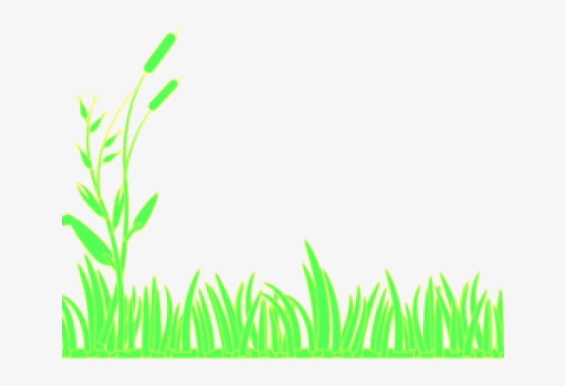 Lawn Clipart Grass Patch - Icon Background Black Png, transparent png download