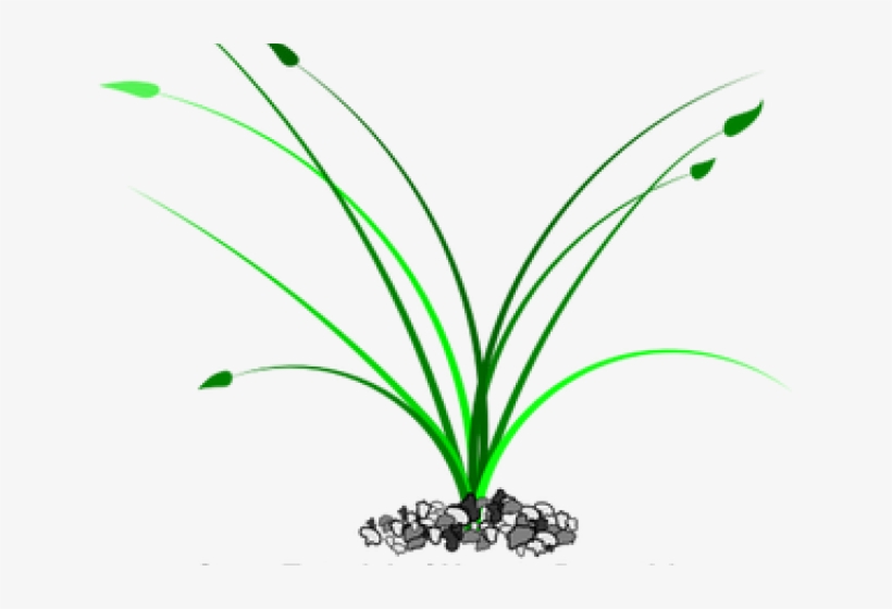 Stone Clipart Grass Patch - Illustration, transparent png download