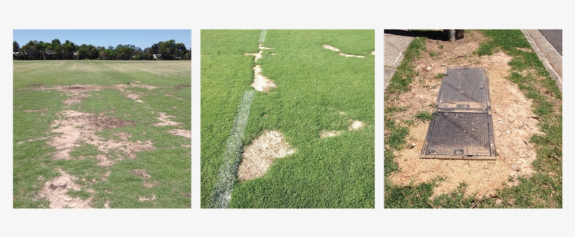 Patch Up Logo™ Patch Up Pictures - Lawn, transparent png download