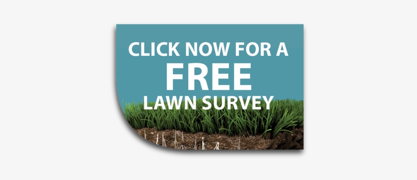 Welcome To Premiership Lawncare, The League Leaders - Red Click Here Button, transparent png download