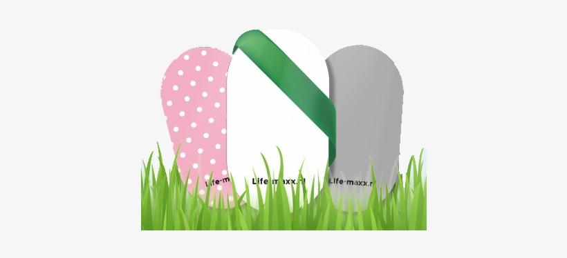 Home - Grass, transparent png download