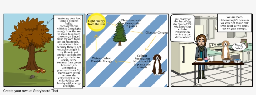 Ainsley - Christmas Tree, transparent png download